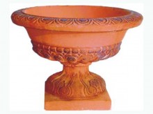 М016 Цветочница римская